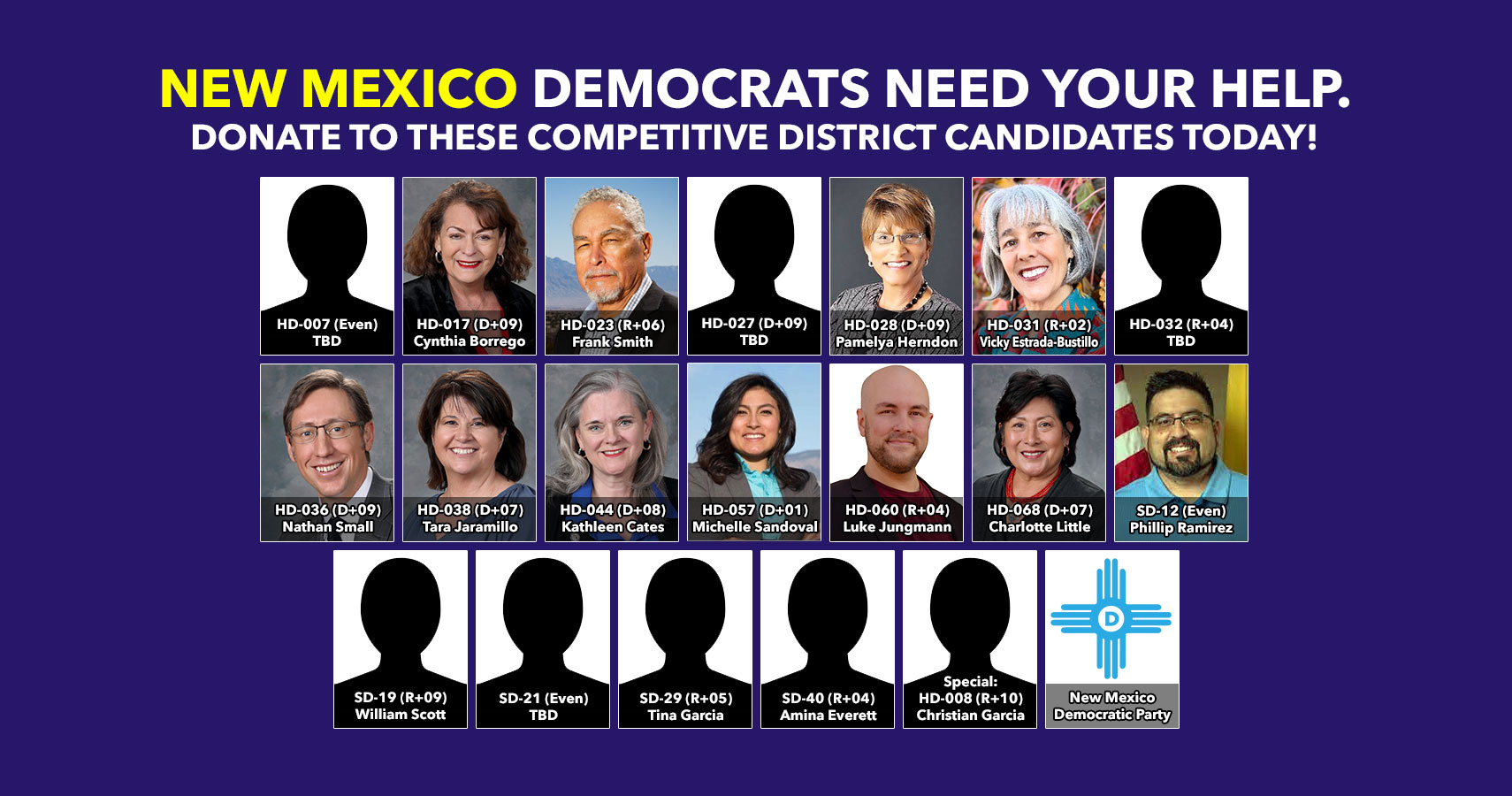 New Mexico: Filing deadline passed; candidates now listed! | Blue24.org